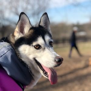 Meet your Posher, Julie